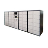 OEM custom design metal cabinet high quality smart parcel locker smart delivery locker